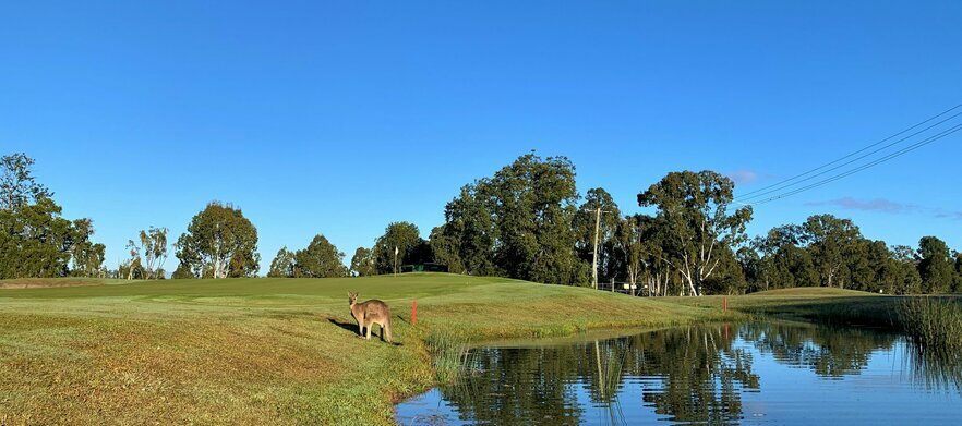 18 Holes For Two at the newly refurbished <em>Ipswich City Golf Club </em>located at <em>Ipswich Sports Club!</em> 18 Holes For Two in a Motorised Cart.  <em>