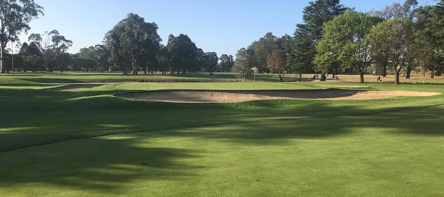 At <em>Dunheved Golf Club:</em> 18 Holes for Four with carts