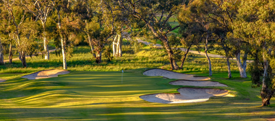 deal_Tanunda_Pines_Golf_Club-7636-2-Edit.png