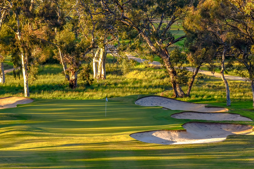 deal_Tanunda_Pines_Golf_Club-7636-2-Edit.png