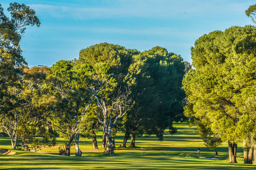 deal_Tanunda_Pines_Golf_Club-7700-2-Edit.png