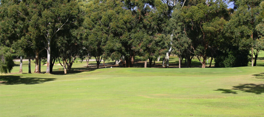 18 Holes For Two at the stunning  <em>Hillview Golf Course!</em> Includes a shared motorised cart & a bucket of range balls to share.
