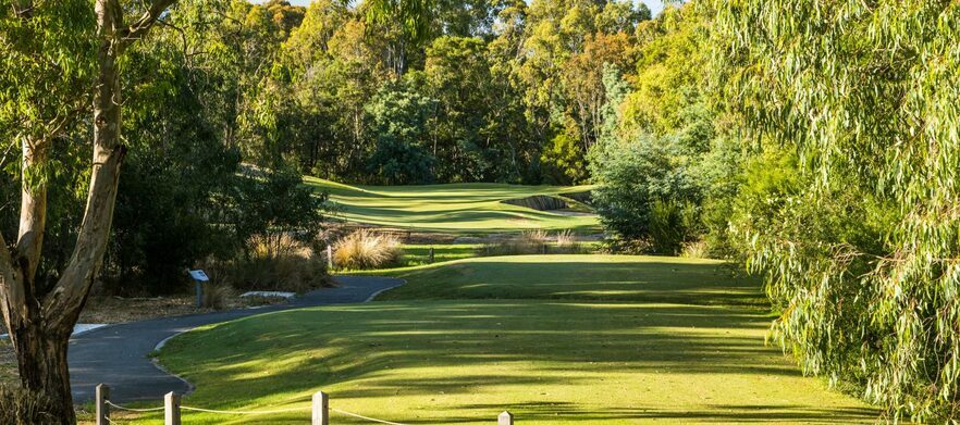 <em>Freeway Golf Course Special!</em> 18 Holes for Two with a Motorised Cart. <em>Normally $132, this offer only $94!</em> 
