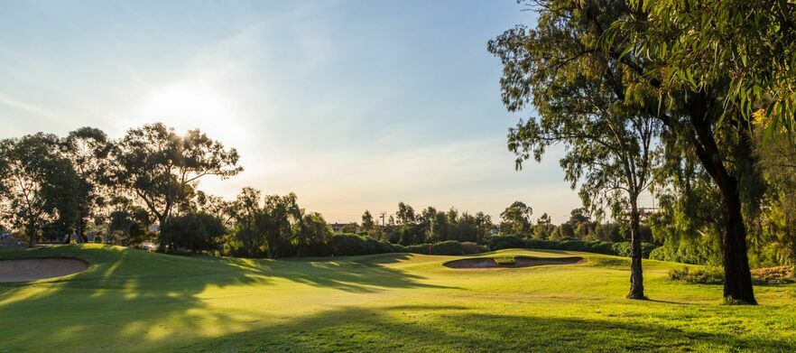 At <em>Regency Park Golf Course:</em>  18 holes for Four in shared motorised carts.