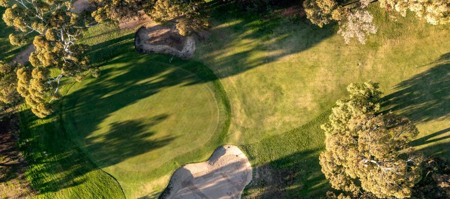 At <em>Regency Park Golf Course:</em>  18 holes for Four in shared motorised carts.