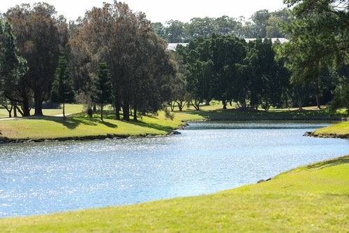 GolferTour-129.jpg