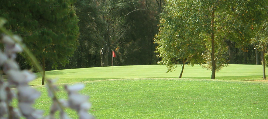 <b>Discover one of Sydney's Hidden Gems!</b> in the Blue Mountains! 18 Holes for Two in Motorised Cart at <b>Springwood Country Club.</b> Includes a drink each after your round. 