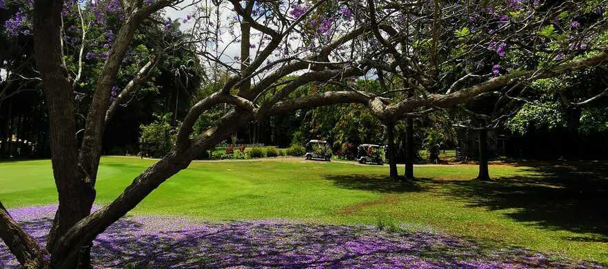 9 Holes for Two in a Motorised Cart at Boomerang Farm Golf Course!