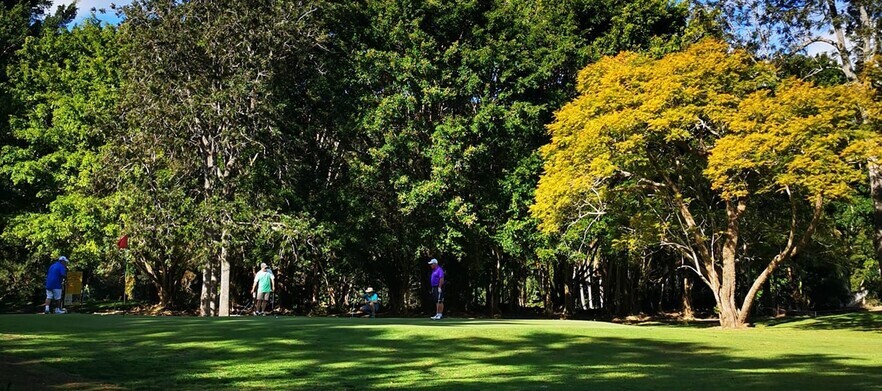9 Holes for Four in Two Motorised Carts at Boomerang Farm Golf Course!