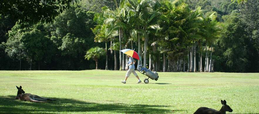 18 Holes for Four in Two Motorised Carts at Boomerang Farm Golf Course!