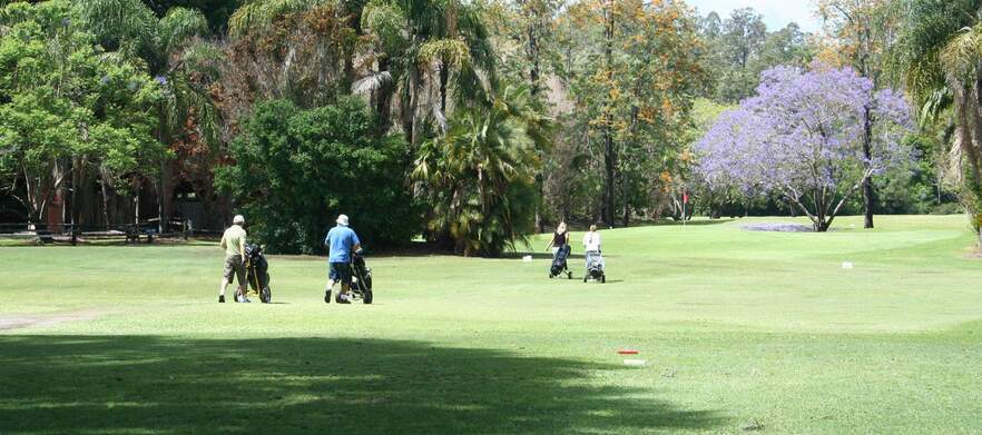 18 Holes for Four in Two Motorised Carts at Boomerang Farm Golf Course!