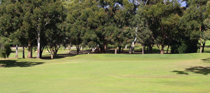 18 Holes For Two at the stunning  <em>Hillview Golf Course!</em> Includes a shared motorised cart & a bucket of range balls to share.