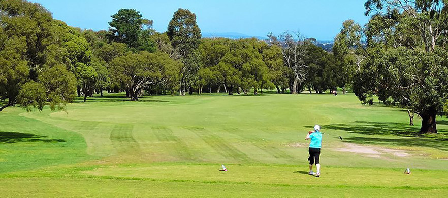SUMMER PLAY at Two of Melbourne's Gems! Play Churchill - Waverley Golf Course with a Drink each & Trackman Discount