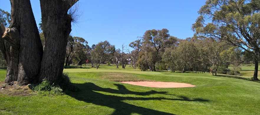 SUMMER DEAL Discover one of Melbourne's Hidden Gems! <em>18 Holes for four at Buninyong GC.</em> Includes motorised carts and drinks.