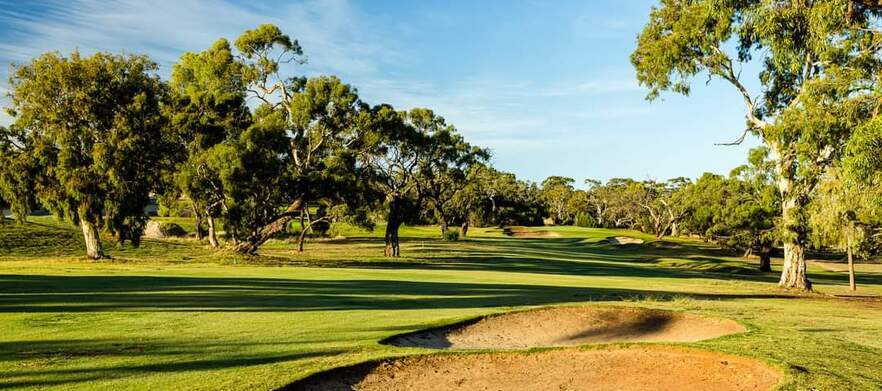 Play one of South Australia's premier golf courses! 18 Holes for 4 at the <em>Stunning Tanunda Pines Golf Club.</em> Includes shared motorised carts.