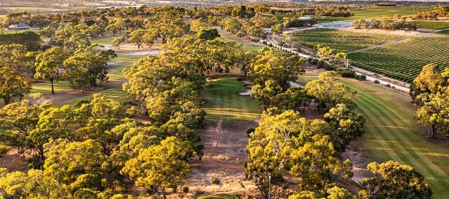 Play one of South Australia's premier golf courses! 18 Holes for 4 at the <em>Stunning Tanunda Pines Golf Club.</em> Includes shared motorised carts.