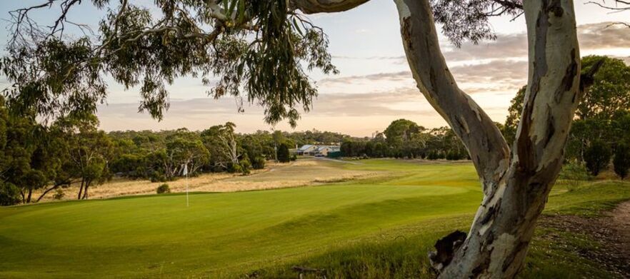 Play one of South Australia's premier golf courses! 18 Holes for 4 at the <em>Stunning Tanunda Pines Golf Club.</em> Includes shared motorised carts.