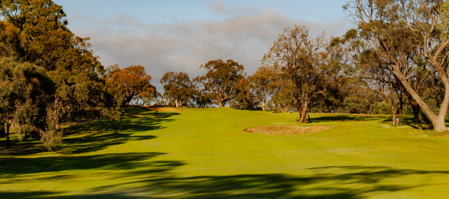 Play one of South Australia's premier golf courses! 18 Holes for 4 at the <em>Stunning Tanunda Pines Golf Club.</em> Includes shared motorised carts.