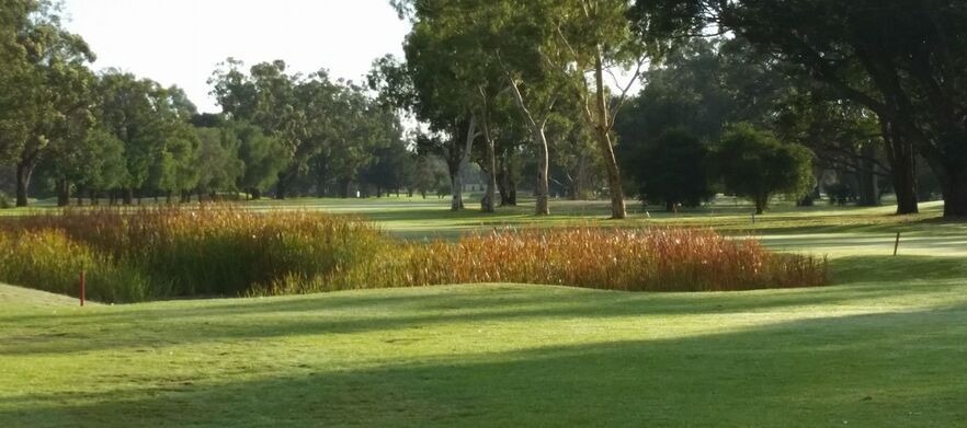 Pinjarra Golfer Classic Monday 24th August 2026