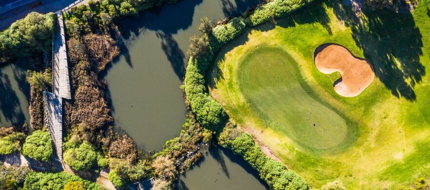 SUMMER DEAL At <em>Regency Park Golf Course:</em>  18 holes for Four in shared motorised carts.