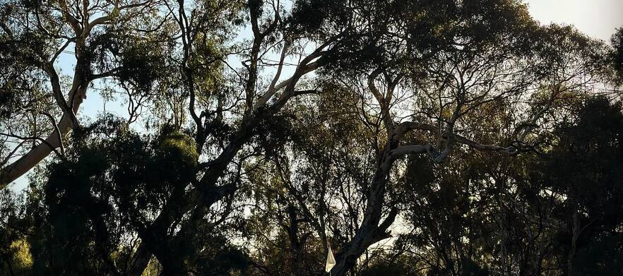 SUMMER DEAL At <em>Little Para Golf Course:</em>  9 Holes for Two