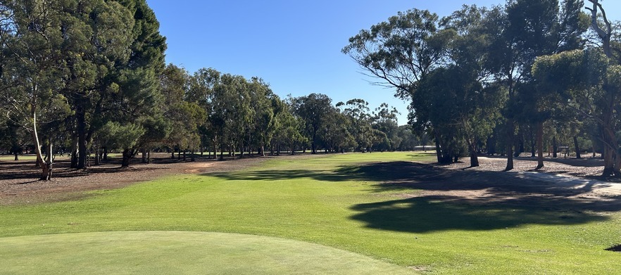 At <em>The Gums Golf Club Salisbury:</em>  18 holes for Four in shared motorised carts.