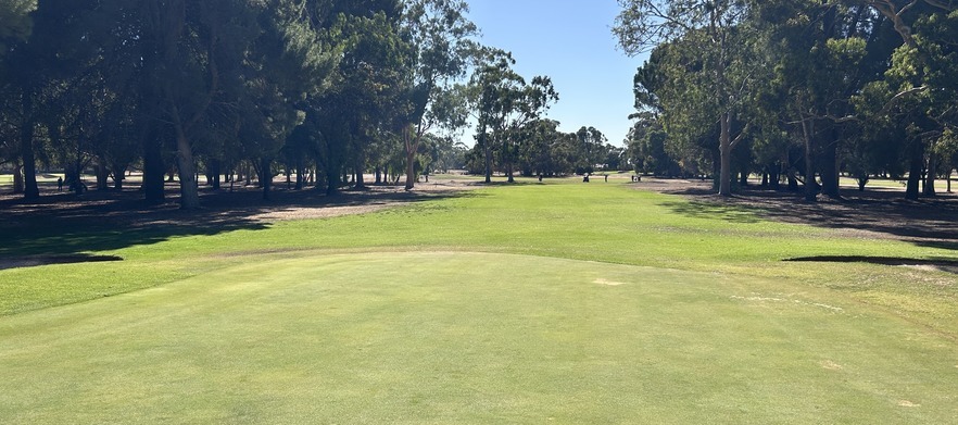 At <em>The Gums Golf Club Salisbury:</em>  18 holes for Four in shared motorised carts.