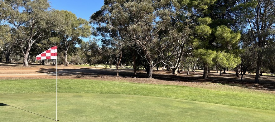 At <em>The Gums Golf Club Salisbury:</em>  18 holes for Four in shared motorised carts.