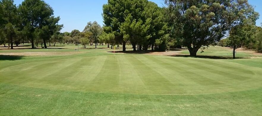 18 Holes For TWO in a Cart at Barossa Valley Golf Club