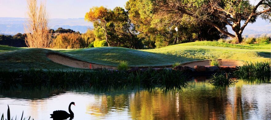 Four person Stay & Play at Eagle Ridge Golf Club with 1 round of golf each PLUS Carts