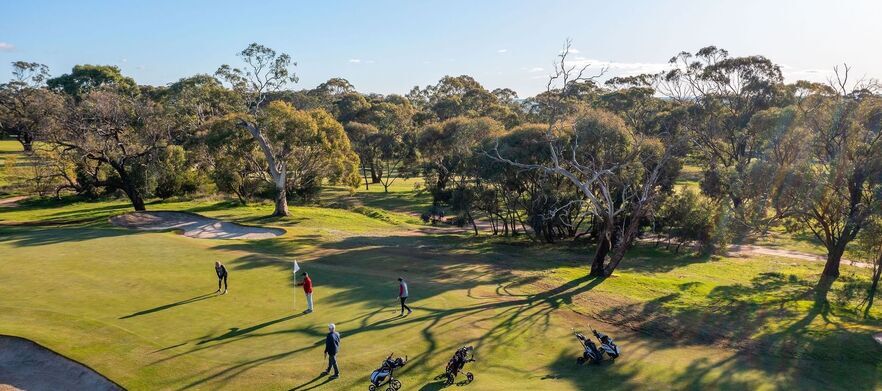 18 Holes For TWO in a Cart at Barossa Valley Golf Club