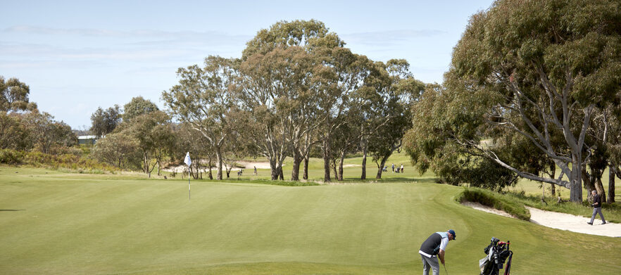 <em>One of Australia's Most Spectacular Golf Courses!</em> Enjoy 18 holes at <em>Curlewis Golf Club.</em> A Top 25 Public Access Golf Course.<em> Normally $180, Today just $109!</em>