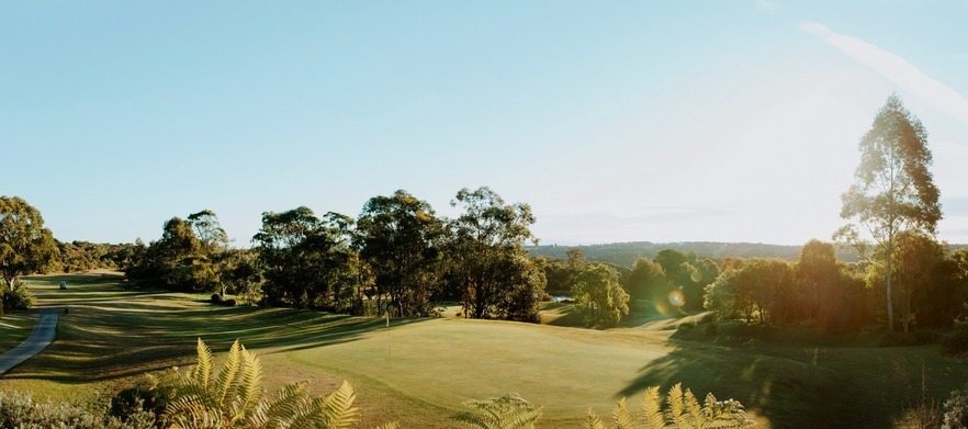 18 Holes For Four in Two Motorised Carts at The Springs!