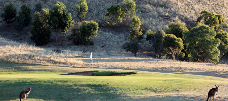 Links Lady Bay Golfer Classic Friday 28th August 2026 (Walking only)