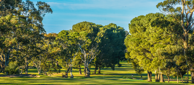 deal_Tanunda_Pines_Golf_Club-7700-2-Edit.png