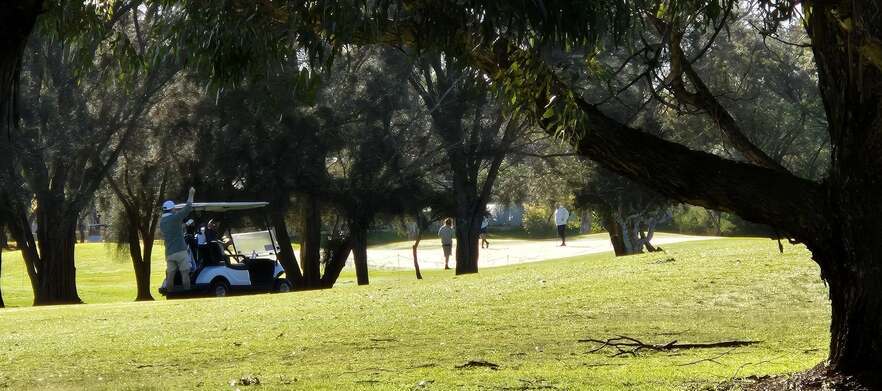 18 holes for FOUR in Carts at <em>Sanctuary Golf Resort !</em> <em>Normally $352, Today just $229!</em>