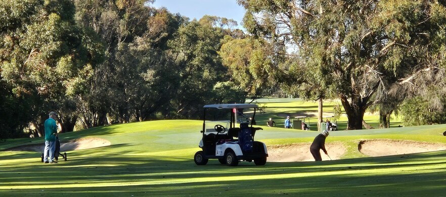 18 holes for FOUR in Carts at <em>Sanctuary Golf Resort !</em> <em>Normally $352, Today just $229!</em>