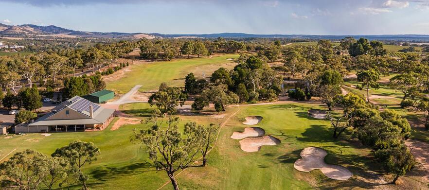 Tee Times | Tanunda Pines Golf Club
