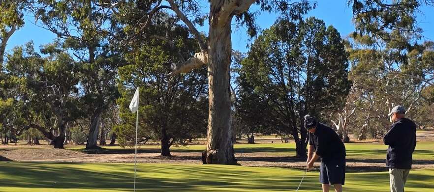 Tee Times | Tanunda Pines Golf Club