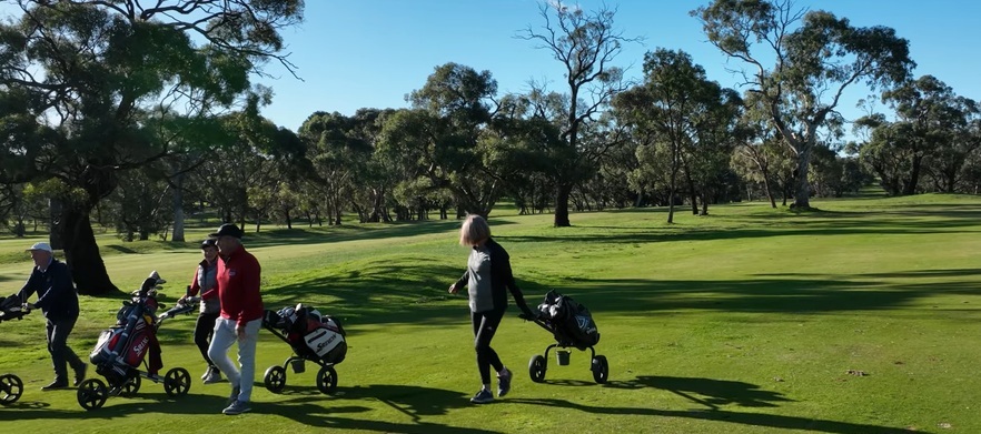 Tee Times | Tanunda Pines Golf Club