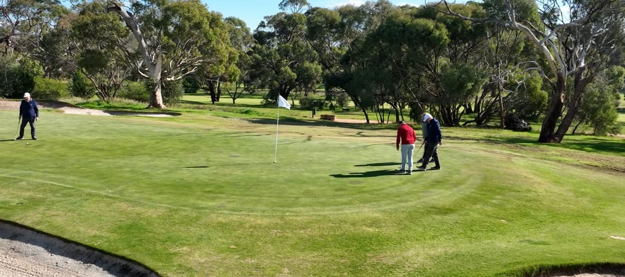 Tee Times | Tanunda Pines Golf Club
