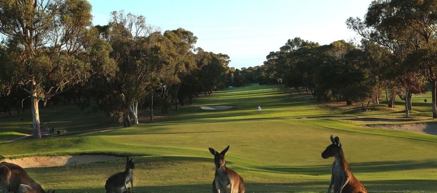 Mandurah Golfer Classic 14th December 2026