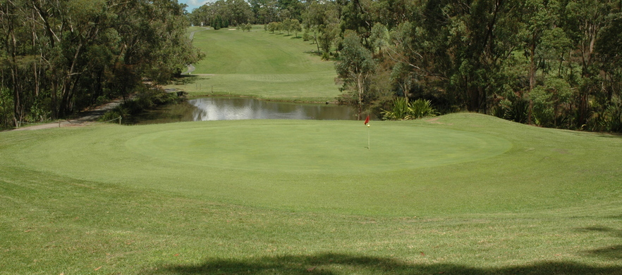 Tee Times | Mangrove Mountain Memorial Club and Golf Course