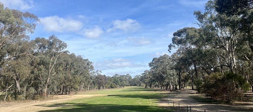 <em>Bendigo Golf Club Special!</em> 18 Holes for Four in Motorised Carts