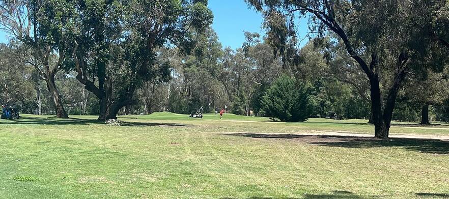 <em>Bendigo Golf Club Special!</em> 18 Holes for Two in a Motorised Cart