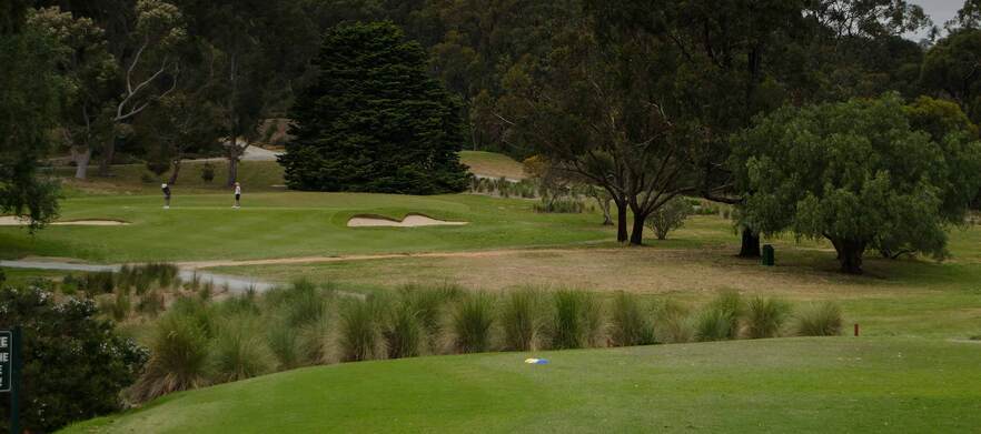 Vines of Reynella Golfer Classic 19th February 2027