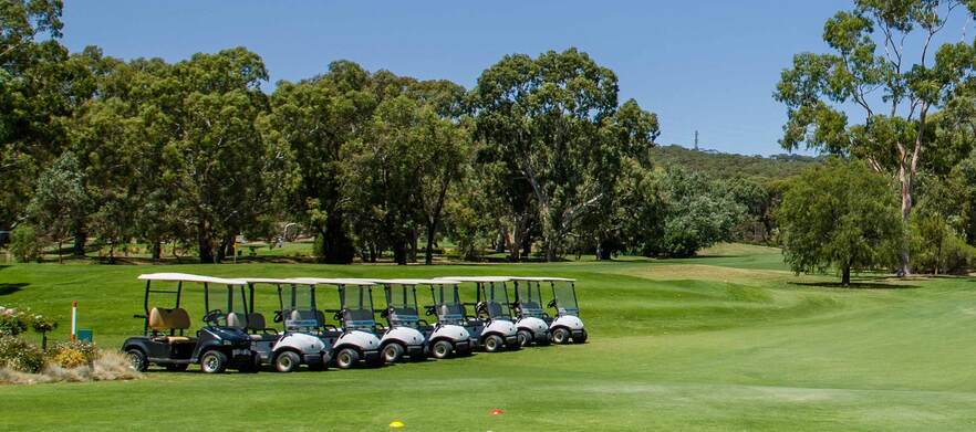 Vines of Reynella Golfer Classic 19th February 2027
