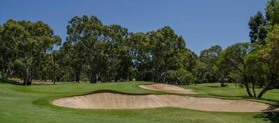 thevines-22.jpg