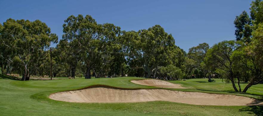 Vines of Reynella Golfer Classic 19th February 2027