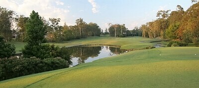 Robina-Woods-Hole-1-001--980x389__1_.jpg